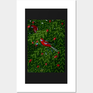 Rosellas in the Pomegranate Tree Posters and Art